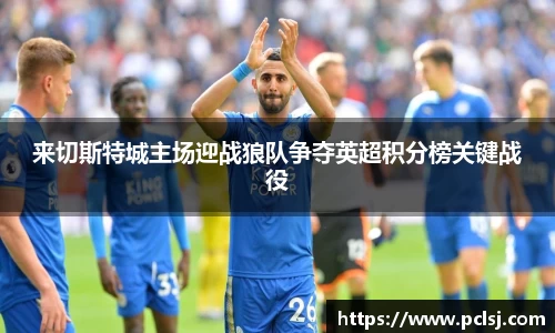 来切斯特城主场迎战狼队争夺英超积分榜关键战役